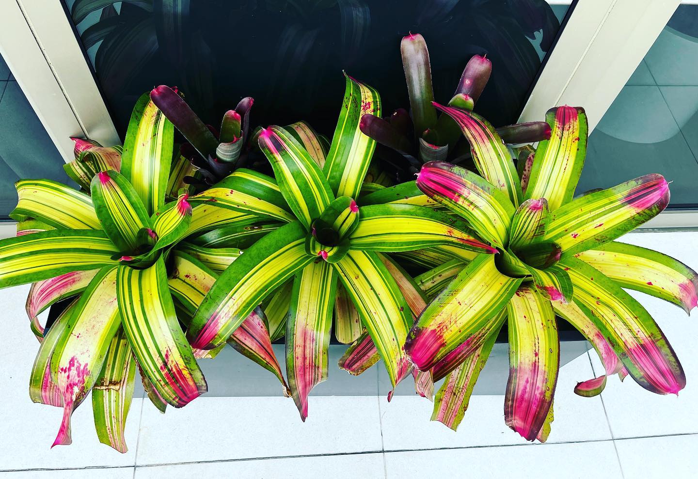 625097187 18109984342643806 8398853044381096990 n