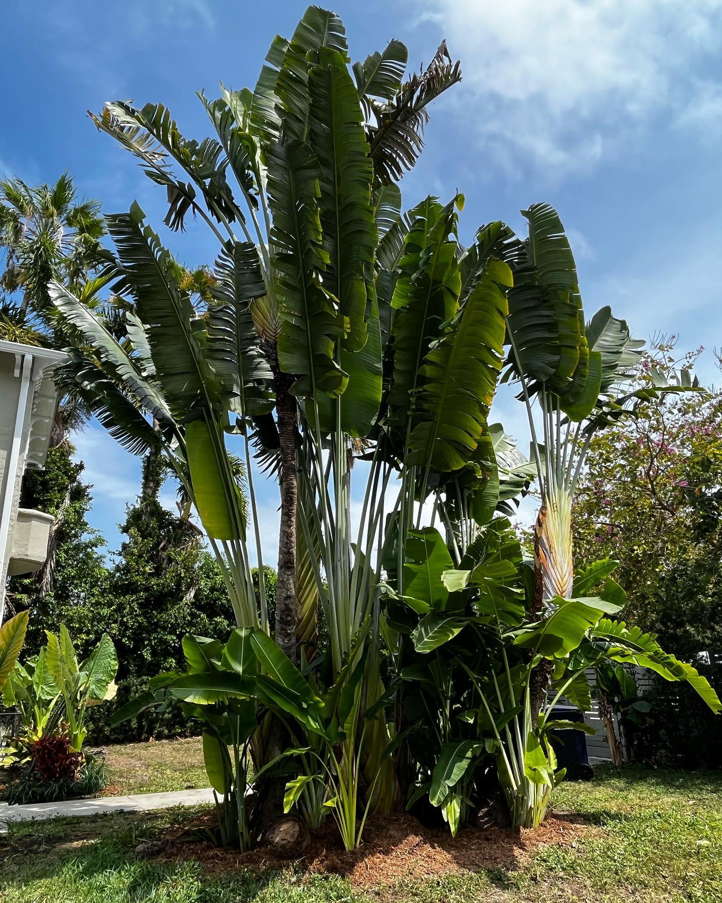 653048154 18067757444302130 129804301462777284 n