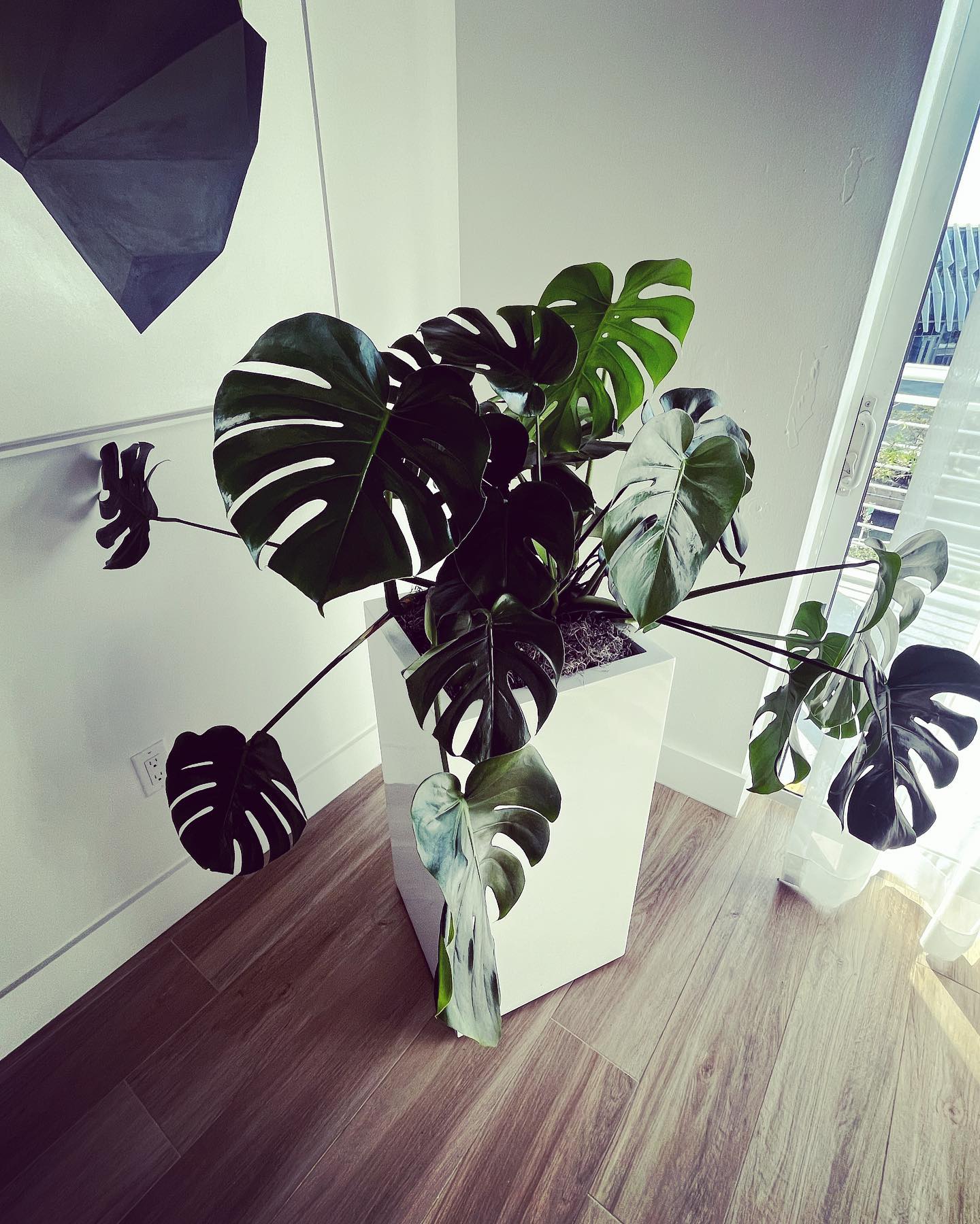 655210089 18094498583089020 6264490369652706639 n