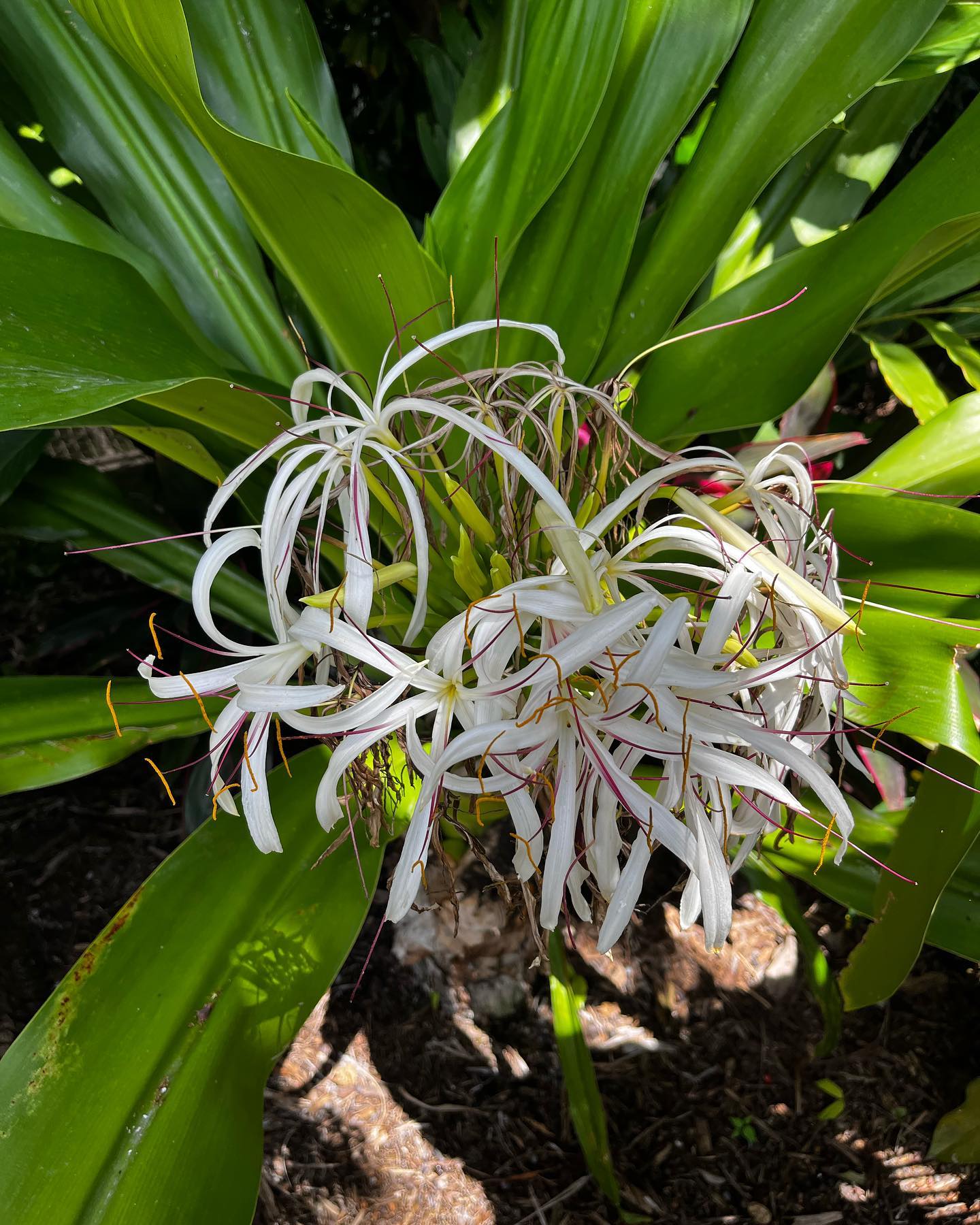 656140923 18133264363523551 8758001014906073847 n