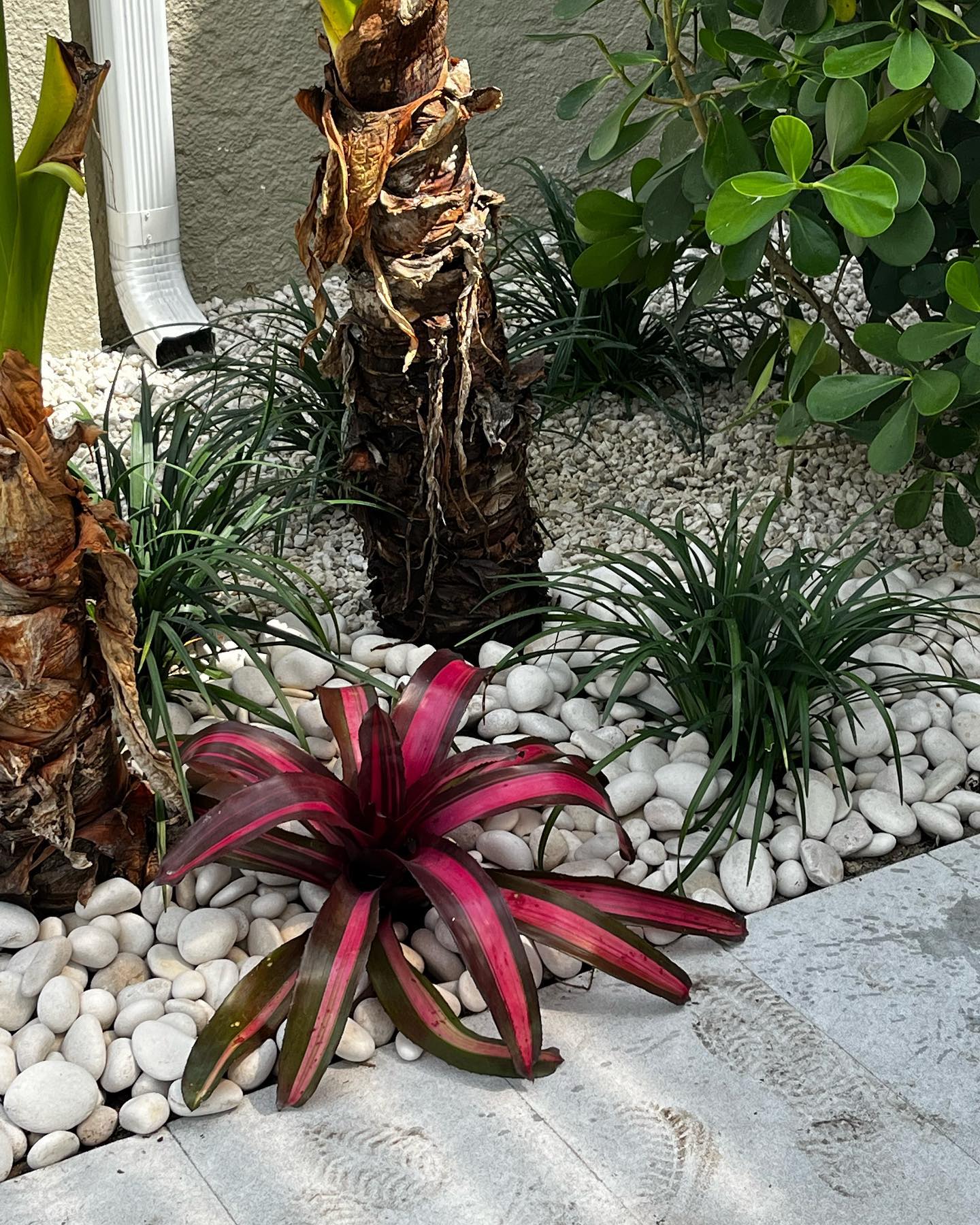 656199023 18062459462389962 3825865566474384627 n