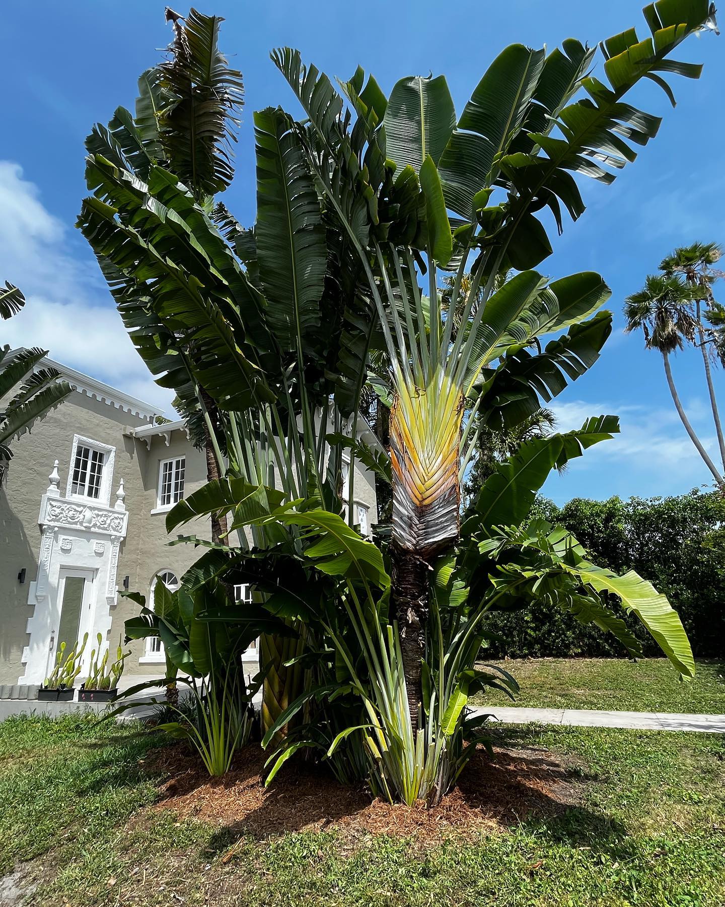 669864154 18582922243007108 7136097194958838772 n